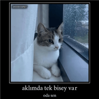 sticker image #9