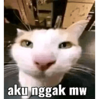 sticker image #10