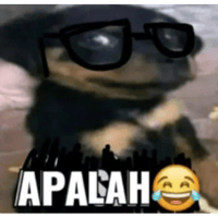 sticker image #16
