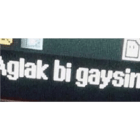sticker image #9