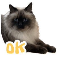 sticker image #19