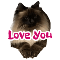 sticker image #21