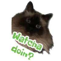 sticker image #24