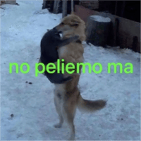 sticker image #12