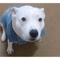 sticker image #16