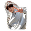 tray_icon #38175 sticker_pack