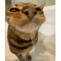 sticker image #19