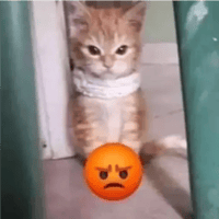 sticker image #10