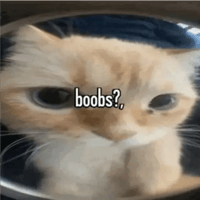 sticker image #17