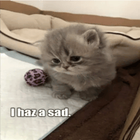 sticker image #18