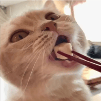 sticker image #21