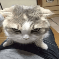 sticker image #23