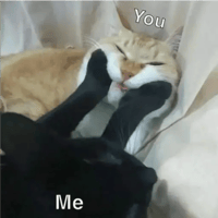 sticker image #24