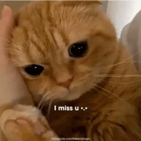 sticker image #26