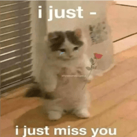 sticker image #27