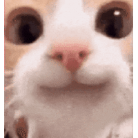 sticker image #20