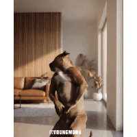 sticker image #19