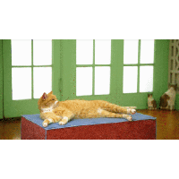 sticker image #9