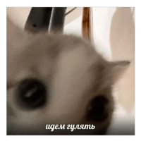 sticker image #13