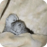 sticker image #15
