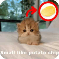 sticker image #18