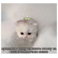 sticker image #2
