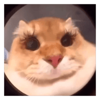 sticker image #20