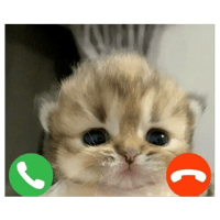 sticker image #21