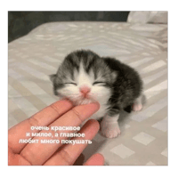 sticker image #23