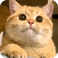 sticker image #5