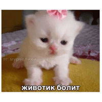 sticker image #7