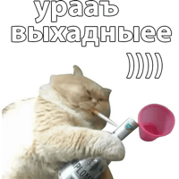 sticker image #21