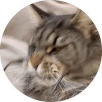 sticker image #11