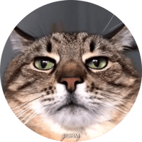 sticker image #21