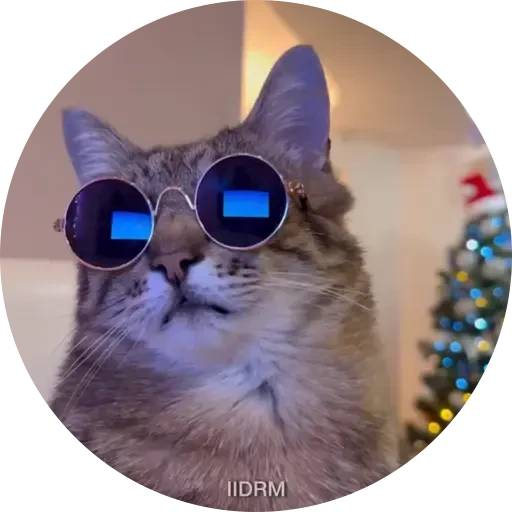 tray_icon #119169 sticker_pack
