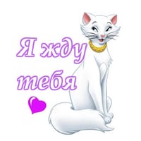 tray_icon