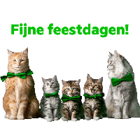 sticker image #17