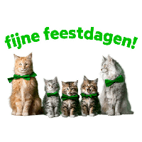 sticker image #4
