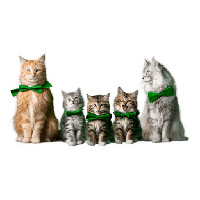 sticker image #5