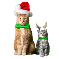 sticker image #8