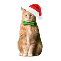 sticker image #9