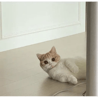 sticker image #26