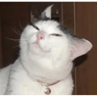 sticker image #16