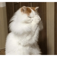 sticker image #20