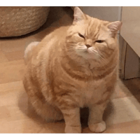 sticker image #25