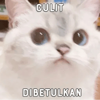 sticker image #13