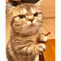 sticker image #18