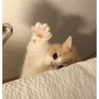 sticker image #21