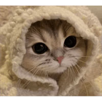 sticker image #23