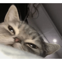 sticker image #24